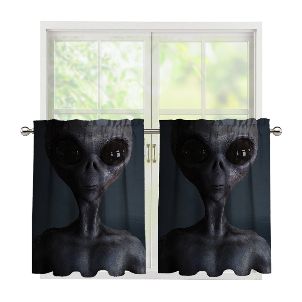 Scary Grey Alien 3D Print Tier Curtains
