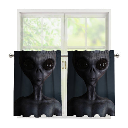 Scary Grey Alien 3D Print Tier Curtains