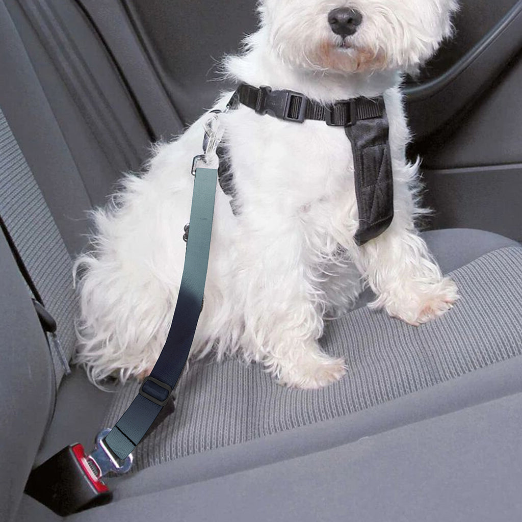 Screaming Horror Ghost 3D Print Dog Seat Belt