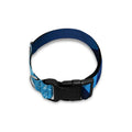 Sea Turtle Family Underwater Print Dog Collar
