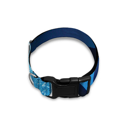 Sea Turtle Family Underwater Print Dog Collar