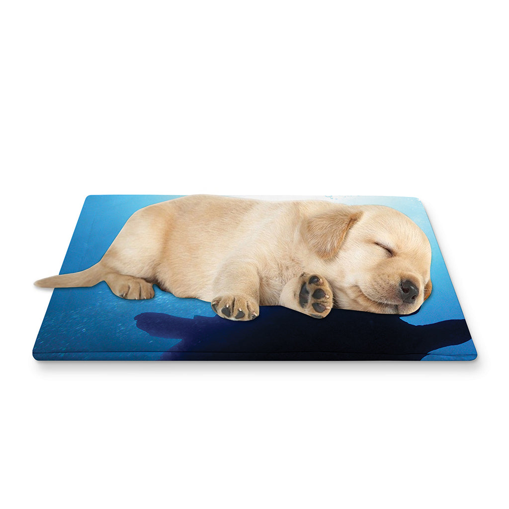 Sea Turtle Family Underwater Print Pet Cooling Mat Cover