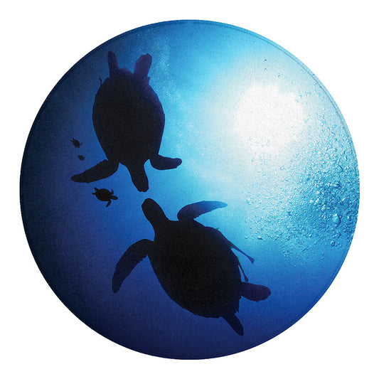 Sea Turtle Family Underwater Print Round Blanket