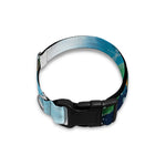 Sea Turtle Painting Print Dog Collar