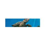 Sea Turtle Underwater Print Bed Runner