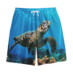 Sea Turtle Underwater Print Cotton Shorts