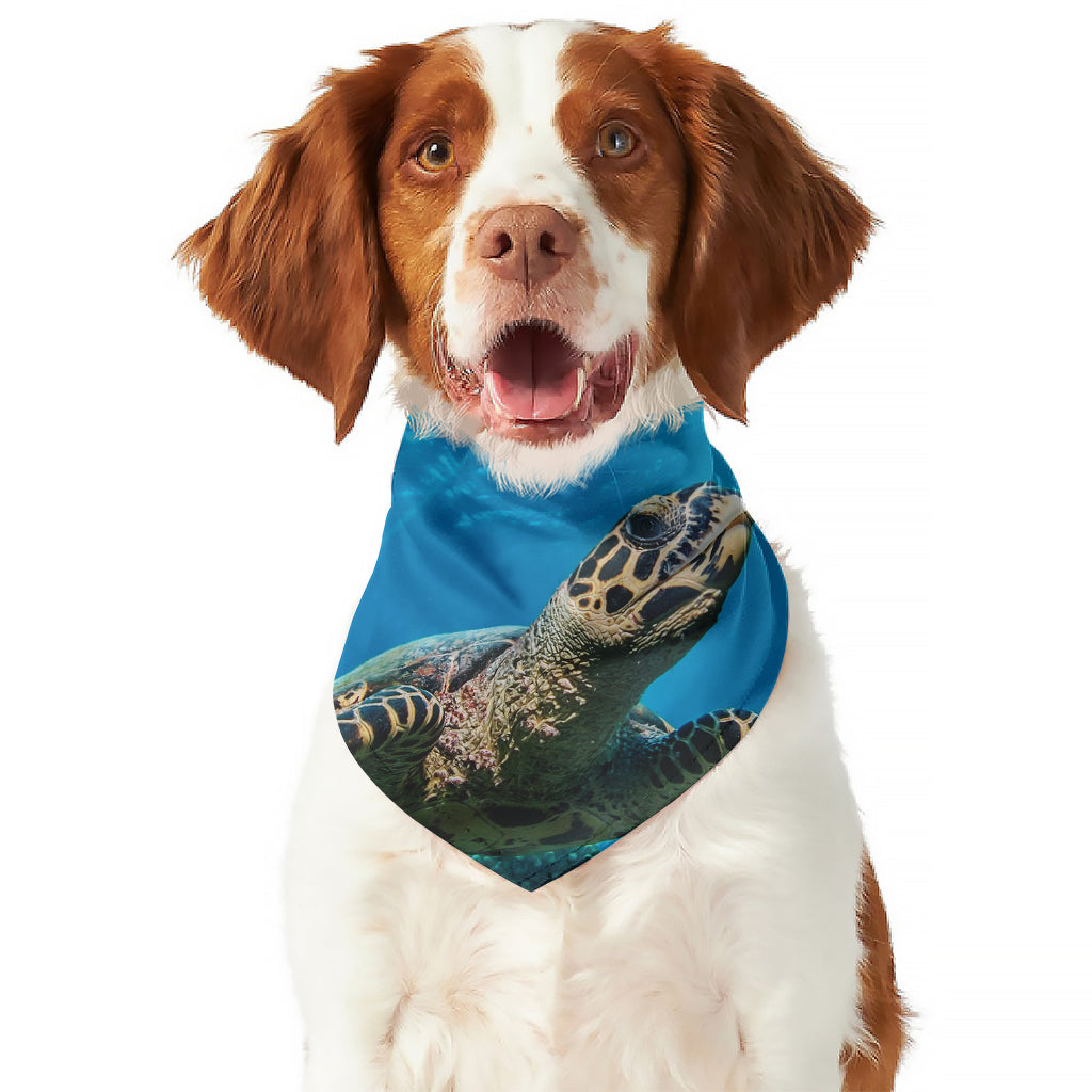 Sea Turtle Underwater Print Dog Bandana