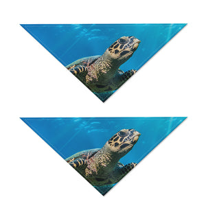 Sea Turtle Underwater Print Dog Bandana