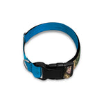 Sea Turtle Underwater Print Dog Collar