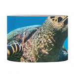 Sea Turtle Underwater Print Drum Lamp Shade