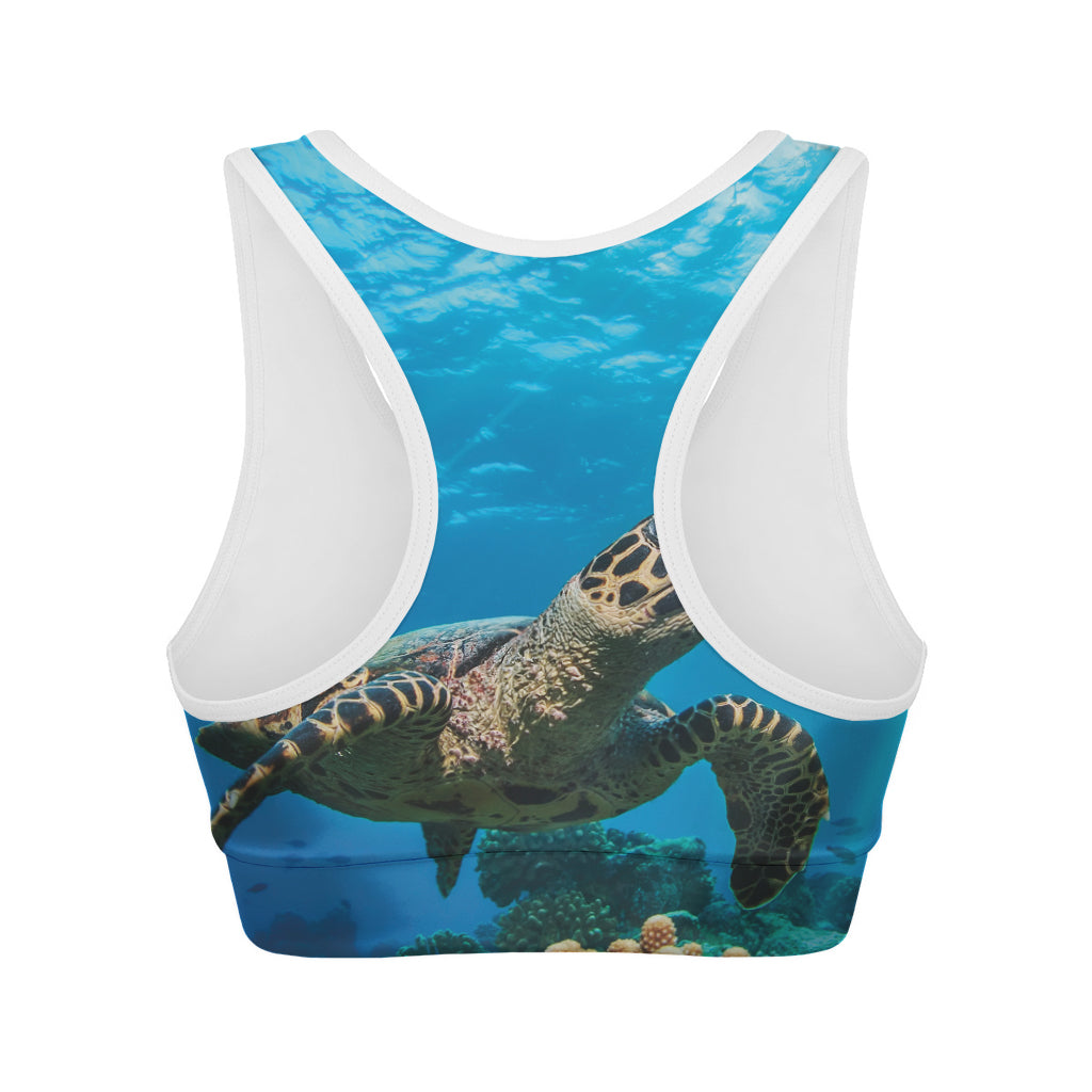 Cute Sea Turtle Pattern Print Women's Sports Bra – GearFrost