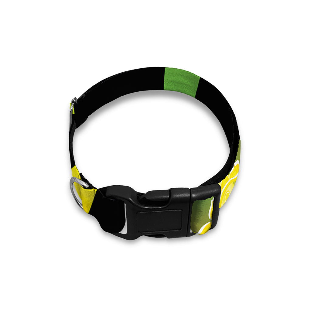 Seven Chakras Rainbow Of Life Print Dog Collar