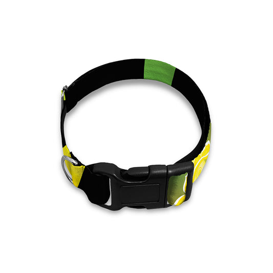 Seven Chakras Rainbow Of Life Print Dog Collar