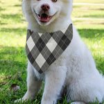 Shadow Grey Argyle Pattern Print Over The Collar Dog Bandana