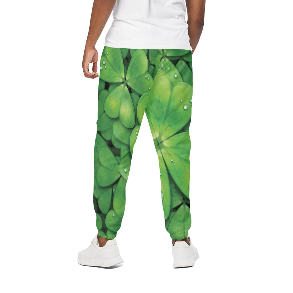 Shamrock Clover St. Patrick's Day Print Cotton Pants