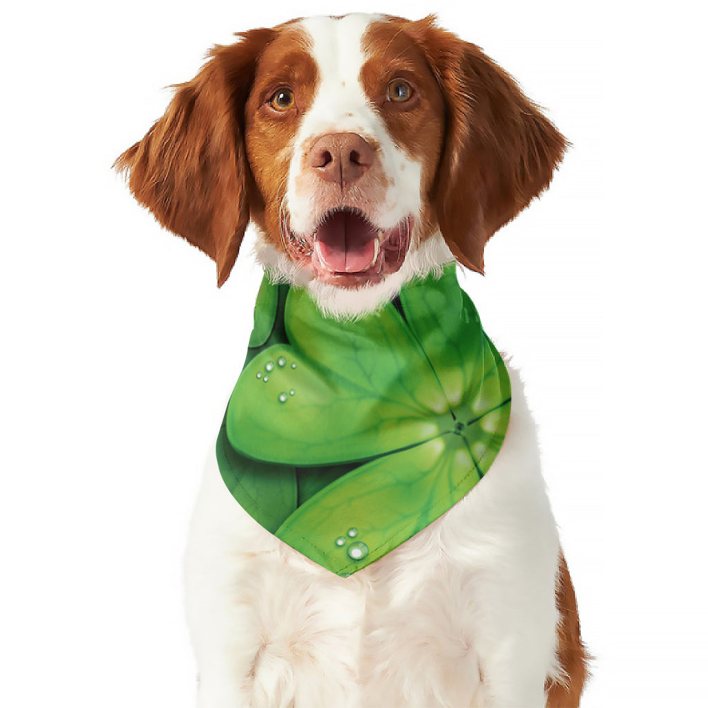 Shamrock Clover St. Patrick's Day Print Dog Bandana