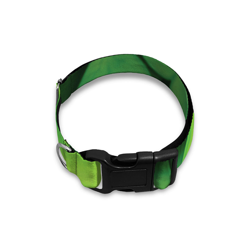 Shamrock Clover St. Patrick's Day Print Dog Collar