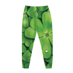 Shamrock Clover St. Patrick's Day Print Jogger Pants
