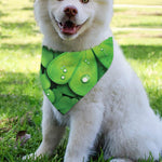 Shamrock Clover St. Patrick's Day Print Over The Collar Dog Bandana