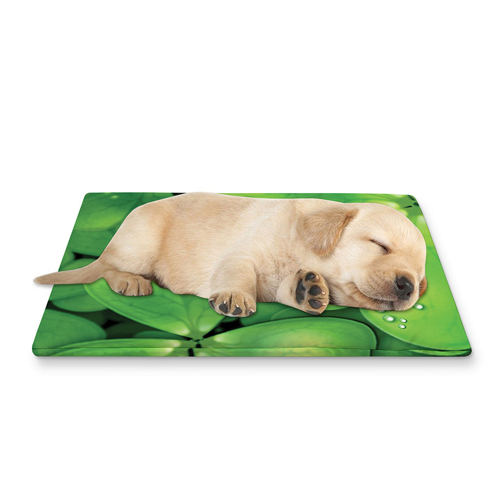 Shamrock Clover St. Patrick's Day Print Pet Cooling Mat Cover