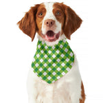 Shamrock Green And White Gingham Print Dog Bandana
