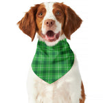 Shamrock Green Plaid Pattern Print Dog Bandana
