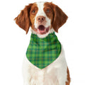 Shamrock Tartan St. Patrick's Day Print Dog Bandana
