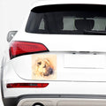 Shar Pei Portrait Print Car Sticker