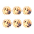 Shar Pei Portrait Print Coaster Set