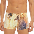 Shar Pei Portrait Print Men's Short Boxer Briefs