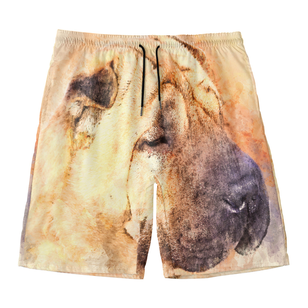 Shar Pei Portrait Print Men's Swim Trunks