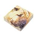 Shar Pei Portrait Print Outdoor Seat Cushion Cover