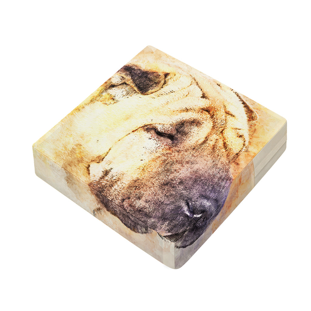 Shar Pei Portrait Print Outdoor Seat Cushion Cover