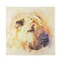 Shar Pei Portrait Print Silk Bandana