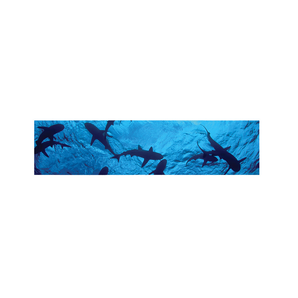 Shark Underwear Print Bed Runner
