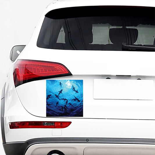 Shark Underwear Print Car Sticker