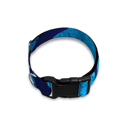 Shark Underwear Print Dog Collar