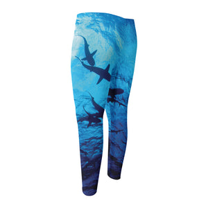 Shark Underwear Print Men's Compression Pants