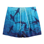 Shark Underwear Print Mesh Shorts