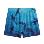 Shark Underwear Print Mesh Shorts