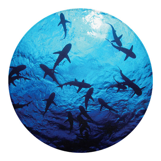 Shark Underwear Print Round Blanket