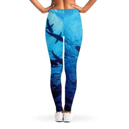 Shark Underwear Print Women's Leggings
