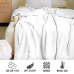 US Dollar Print Sherpa Blanket