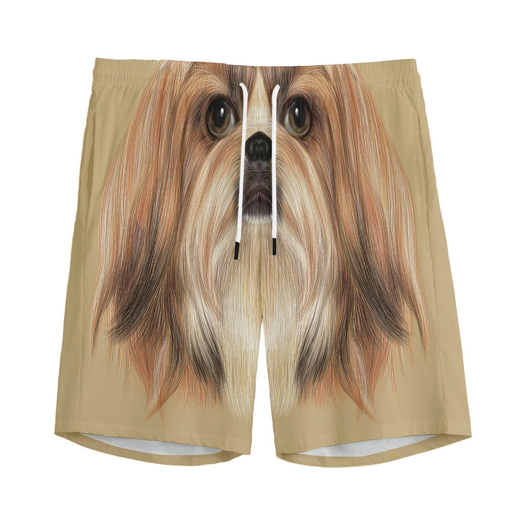 Shih Tzu Portrait Print Men's Sports Shorts