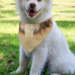 Shih Tzu Portrait Print Over The Collar Dog Bandana