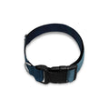 Shining Holy Bible Print Dog Collar