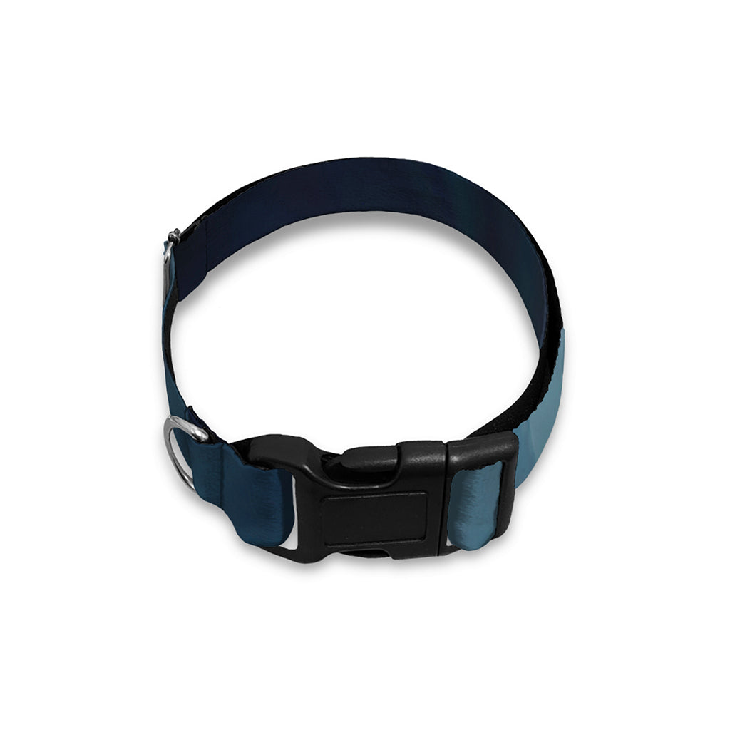 Shining Holy Bible Print Dog Collar