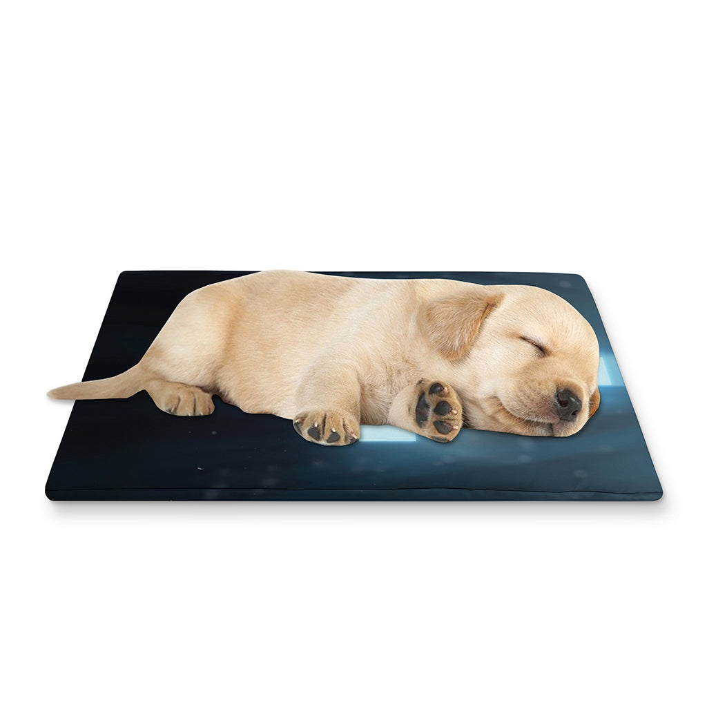 Shining Holy Bible Print Pet Cooling Mat Cover