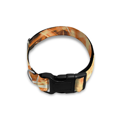 Shining Kaleidoscope Print Dog Collar