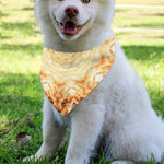 Shining Kaleidoscope Print Over The Collar Dog Bandana